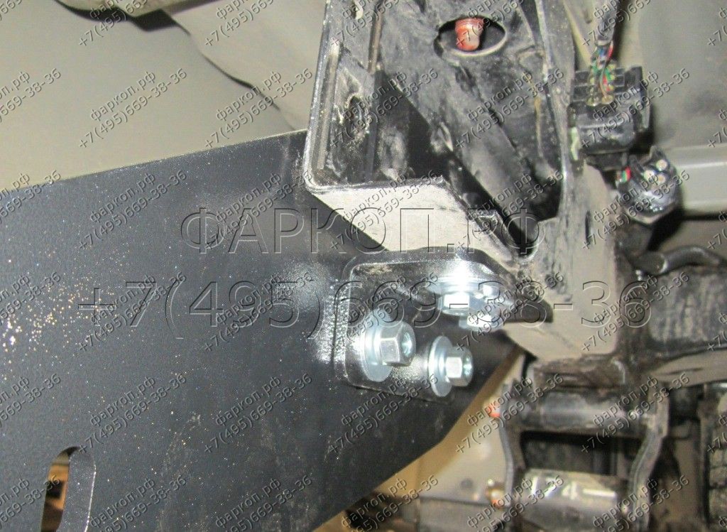 Photo 7